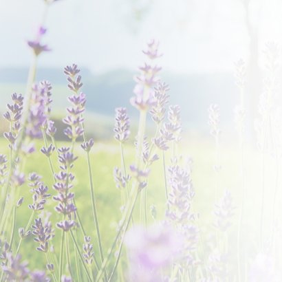 Sterkte: Veel sterkte bloemen 2