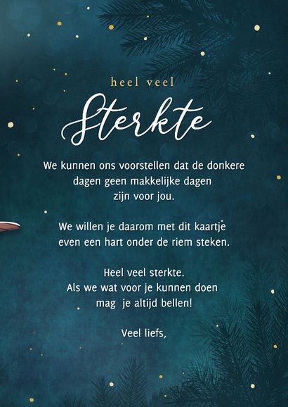 Sterkte winter kaart met vogel die lichtpuntje vasthoudt 3