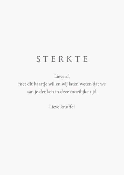 Sterkte zee met meeuwen 3
