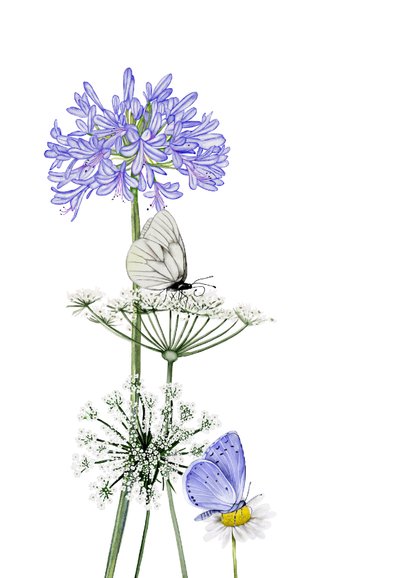 Sterktekaart agapanthus en wilde bloemen met vlinders 2