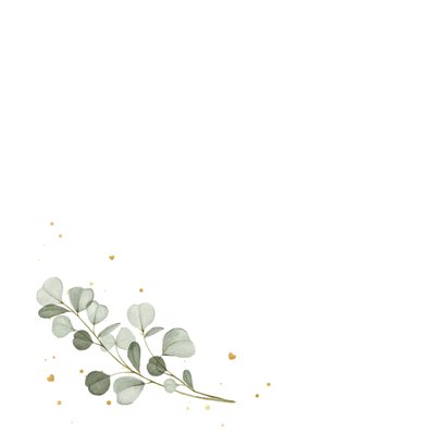 Sterktekaart eucalyptus takje stijlvol hartjes condoleance 2