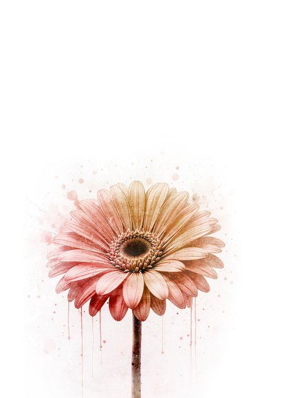 Sterktekaart gerbera zacht roze textuur 2