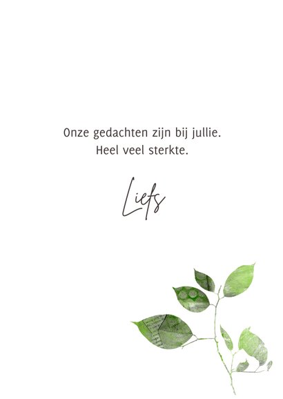 Sterktekaart groen blad takje 3