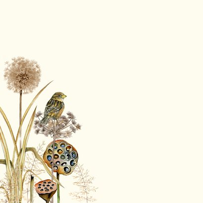 Sterktekaart herfst vogels 2