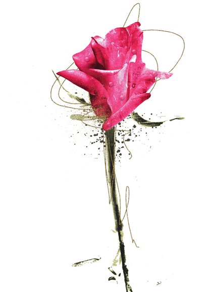 Sterktekaart in gedachten roze roos 2