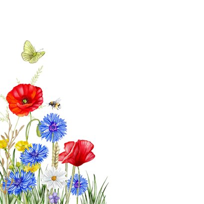 Sterktekaart klaprozen met veldbloemen en vlinders 2
