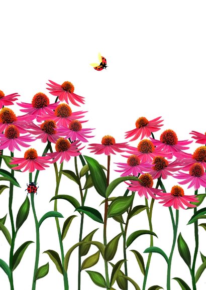 Sterktekaart met roze bloemen 2
