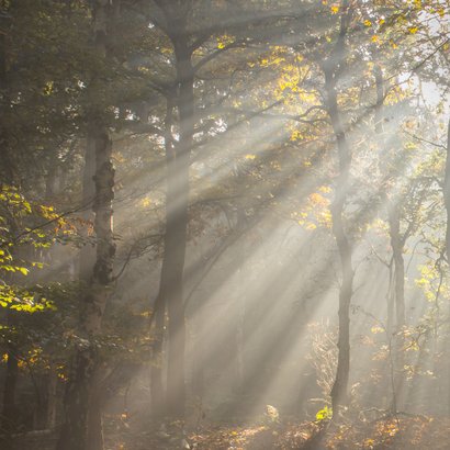 Sterktekaart met zonnestralen 2