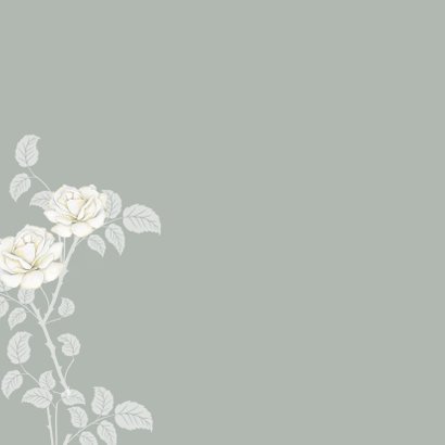 Sterktekaart mooie witte rozen 2