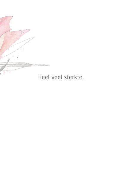 Sterktekaart roos roze gedachten 3