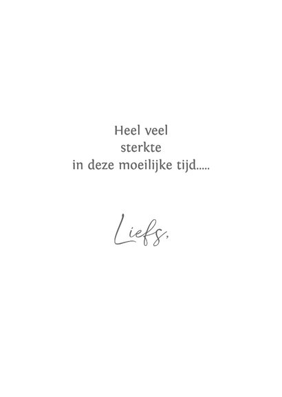 Sterktekaart uitgebloeide paardebloem 3