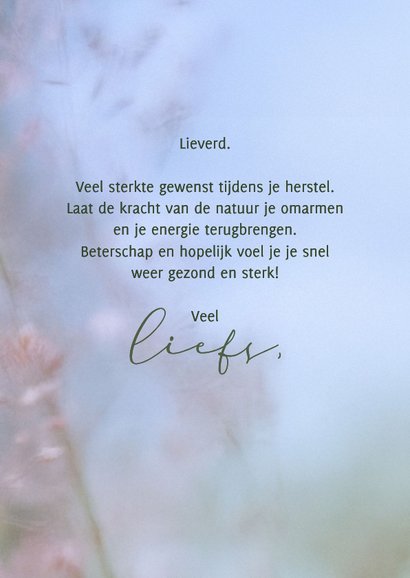 Sterktekaart vlinder met grassen 3