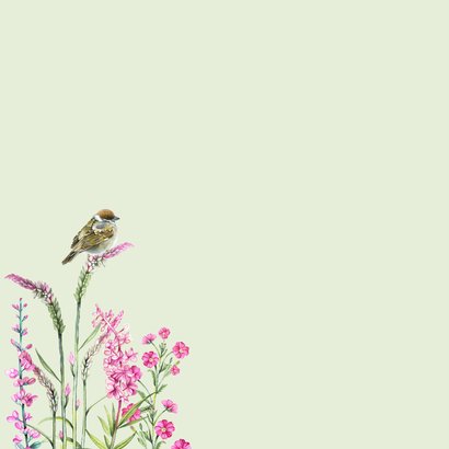 Sterktekaart vogeltjes bloemen 2