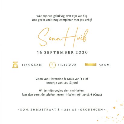 Stijlvol geboortekaartje silhouet broertje in wieg - 3e kind 3