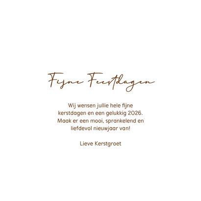 Stijlvol kerstkaartje kerst lichtjes in takken 3