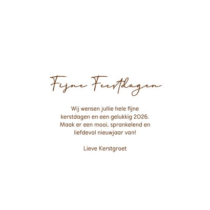 Stijlvol kerstkaartje met kerst lichtjes in takken 3