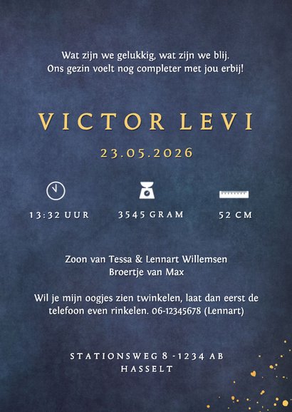 Stijlvol staand geboortekaartje met silhouet van 2 broers 3