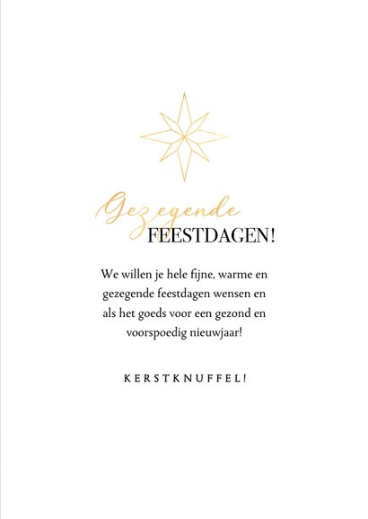 Stijlvolle Christelijke kerstkaart met gouden kerststalletje 3