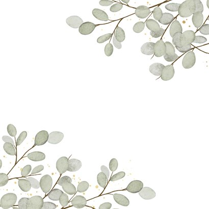 Stijlvolle communie uitnodiging wit met Eucalyptus takjes Achterkant