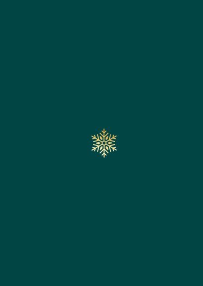 Stijlvolle kerstkaart emerald sneeuwvlokken sterretjes Achterkant