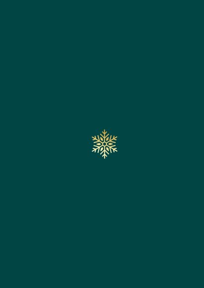 Stijlvolle kerstkaart emerald sneeuwvlokken sterretjes Achterkant