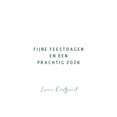 Stijlvolle kerstkaart kerstsfeer takjes 3