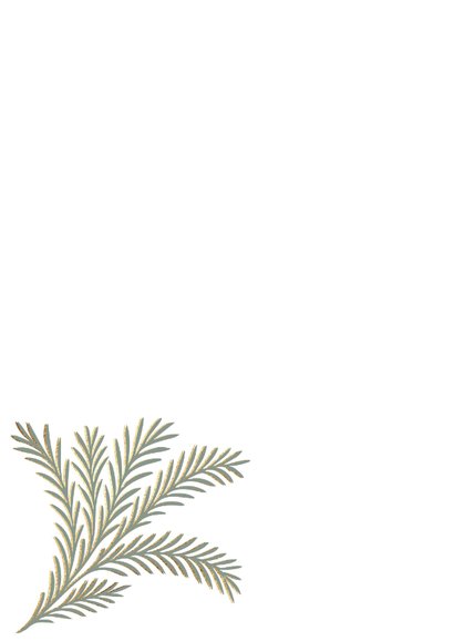 Stijlvolle kerstkaart met drie foto's 2