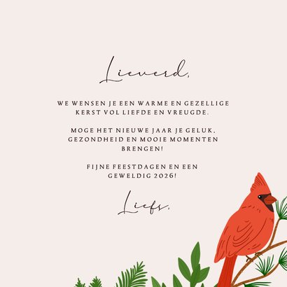 Stijlvolle kerstkaart met rode vogels 3
