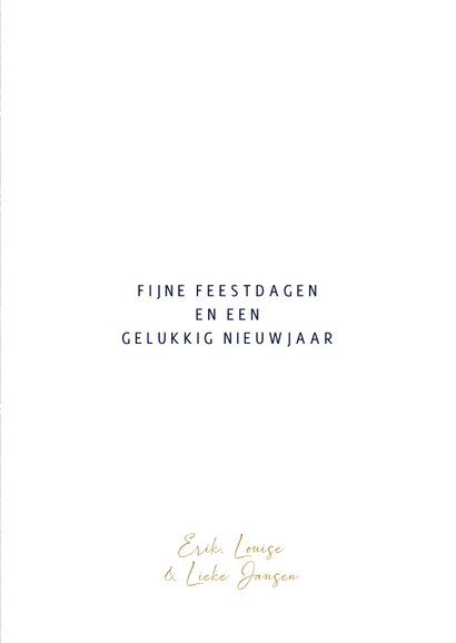 Stijlvolle kerstkaart twee fotos blauwe dennentakjes 3