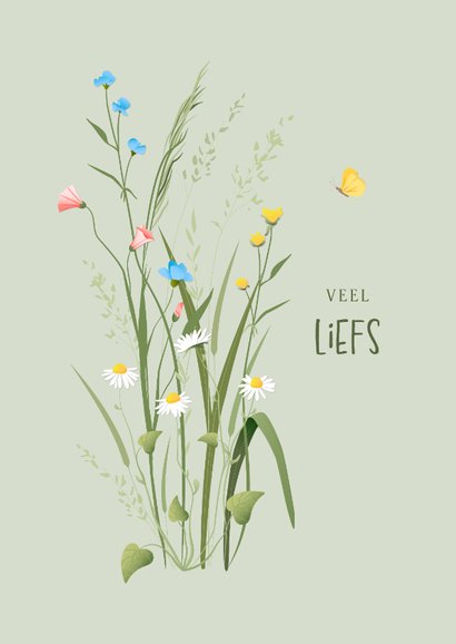 Stijlvolle sterktekaart met sierlijke veldbloemen en vlinder 2