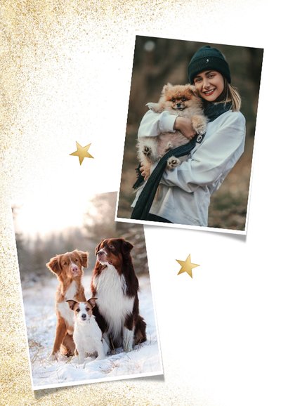 Stijlvolle zakelijke fotokaart gezonde kerst goudlook honden 2