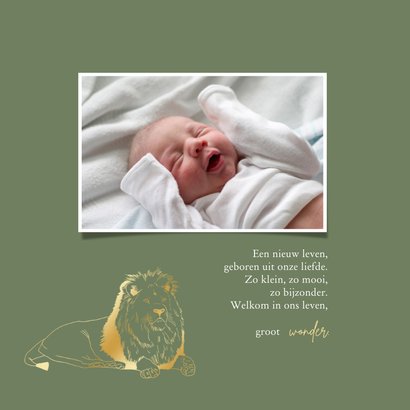 Stoer geboortekaartje lijntekening leeuw jongen groen 2