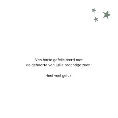 Stoere felicitatiekaart geboorte zoon leeuw 3