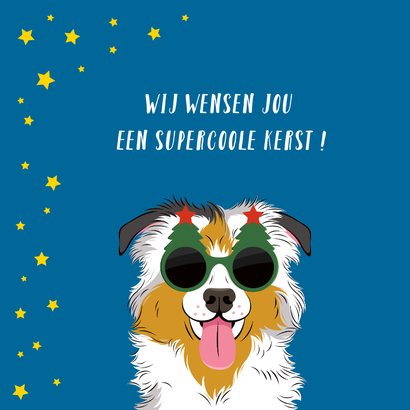 Stoere kerstkaart met hond met zonnebril 2