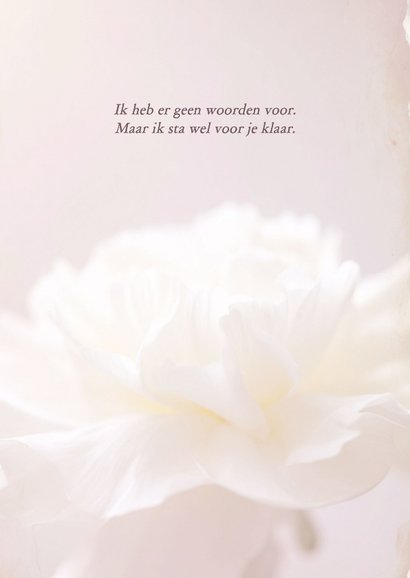 Subtiel roze sterktekaartje met witte bloem 2