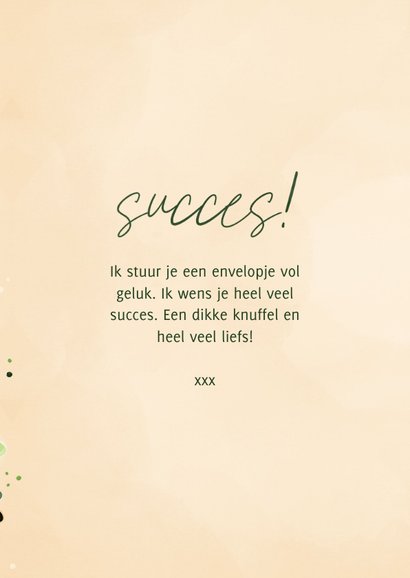 Succes kaart envelop met klavertjes vier 3