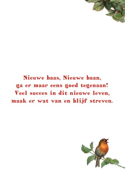 Succes kaart geluksvogeltje 3