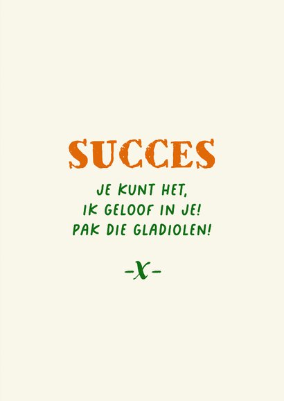 Succes Nijmeegse vierdaagse schoenen succes 3