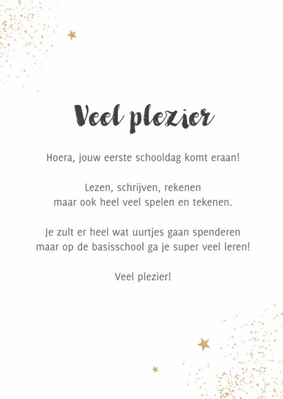 Succes plezier school rugtas basisschool goud