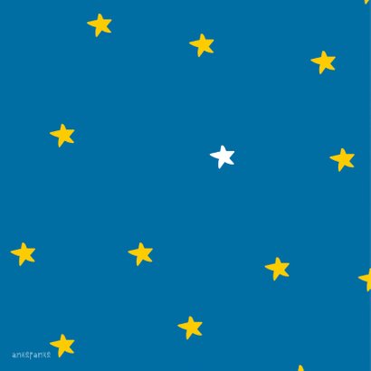 Succes Stars 2