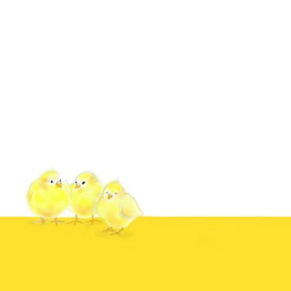 Tien paaskuikentjes 3