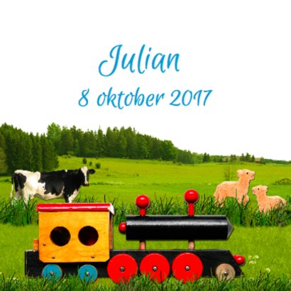 treintje landschap jongen 2