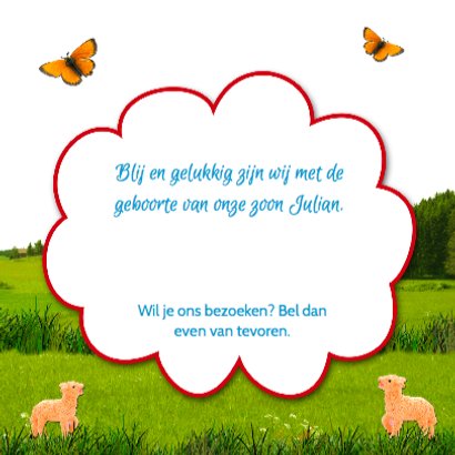 treintje landschap jongen 3
