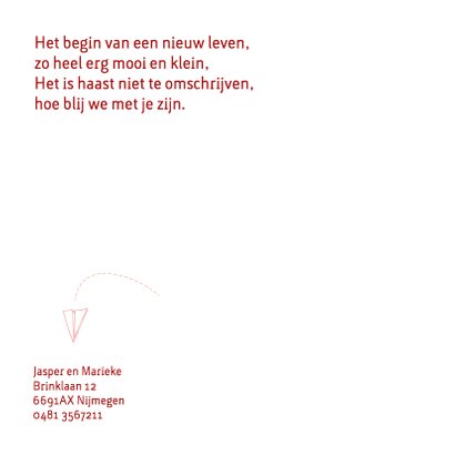 Trendy geboortekaartje met een gevouwen vliegtuigje 2