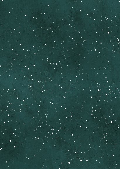 Trendy kerstkaart 2027 takjes groen Achterkant