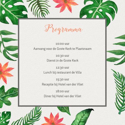 Tropical Mrs Mrs - DH 2