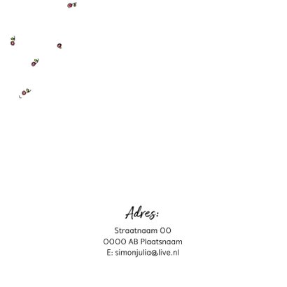 Trouwkaart boot Anet Illustraties 2
