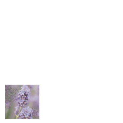 Trouwkaart felicitatie lavendel 2