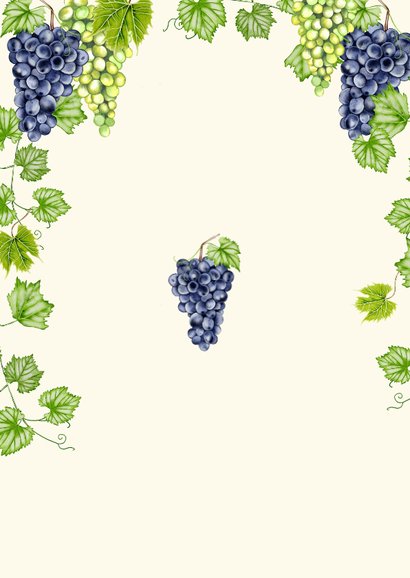 Trouwkaart save the date blauwe en groene druiven Achterkant