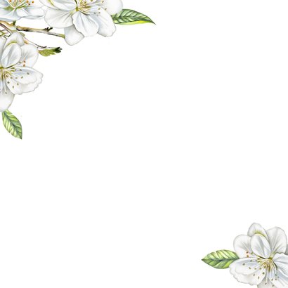 Trouwkaart witte bloesem op fluweel Achterkant